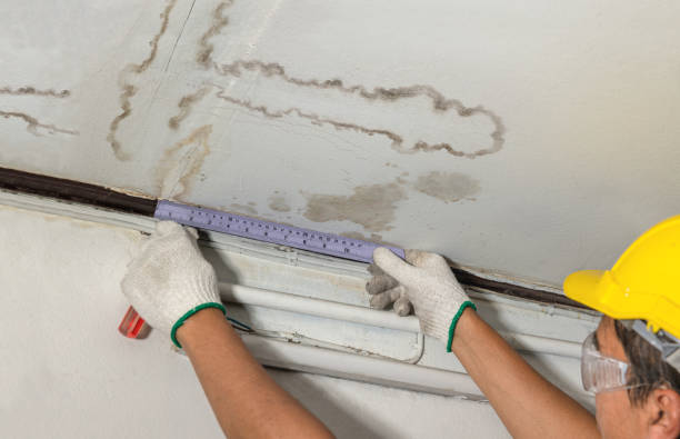 Reliable Mold Remediation contractor in Grover, WY by Water Damage Irwin